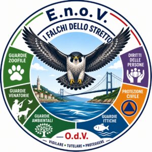 Enov si rinnova……